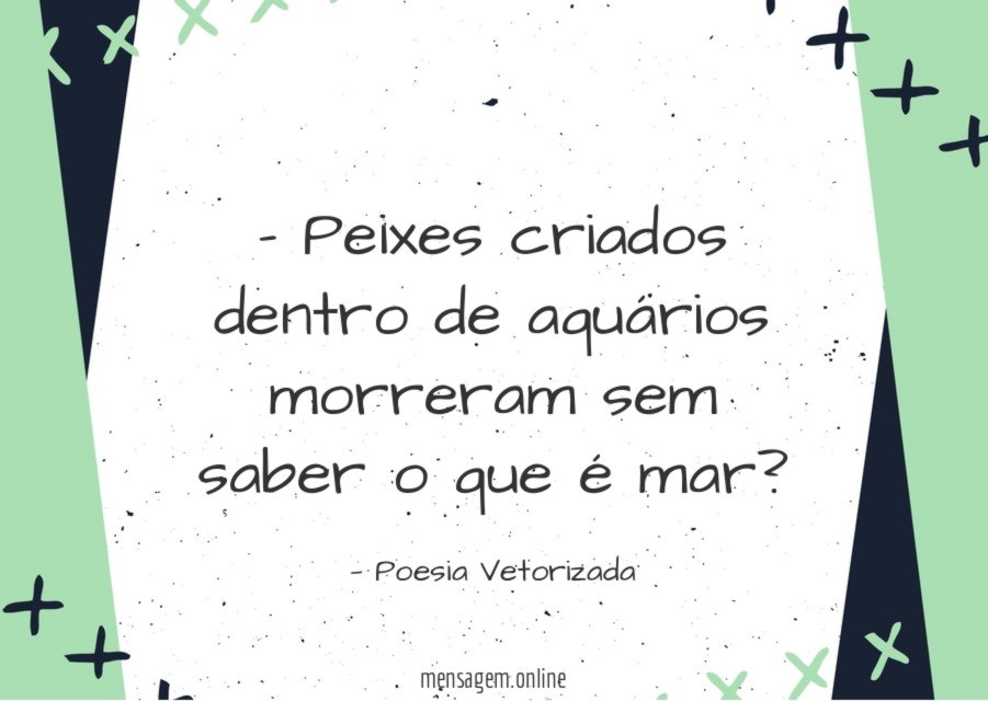 Peixes criados dentro de aquários