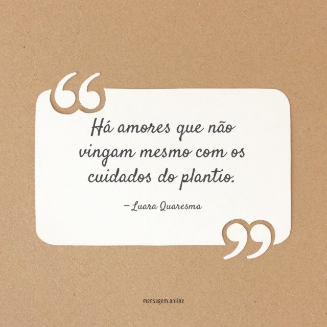 Há amores que não vingam