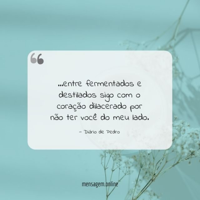 Entre fermentados e destilados
