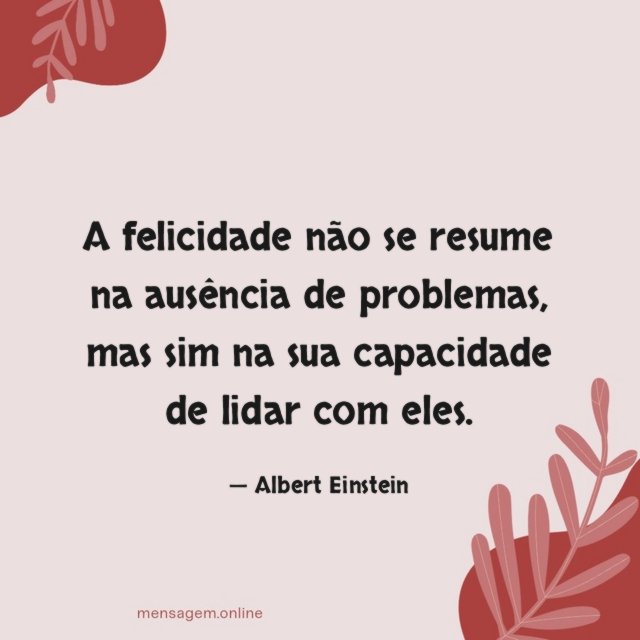 A felicidade não se resume