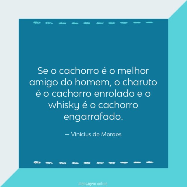 Se o cachorro é