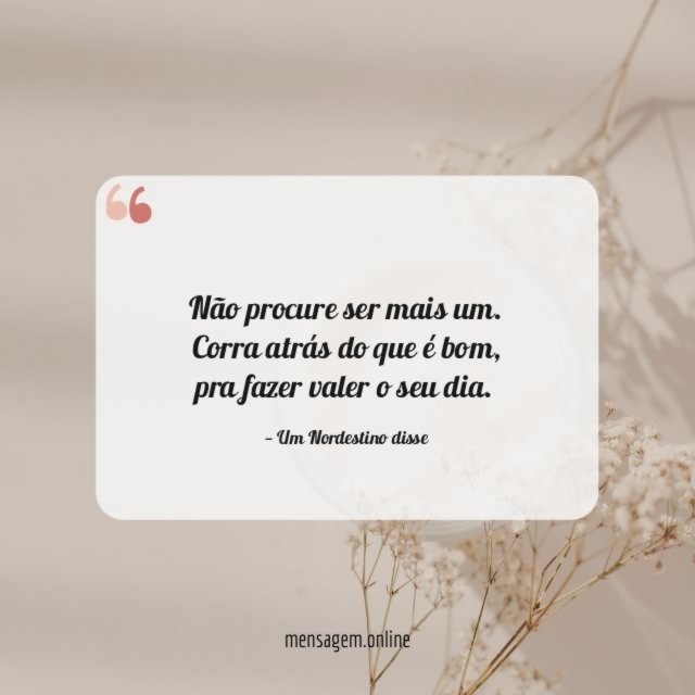 Não procure ser mais um