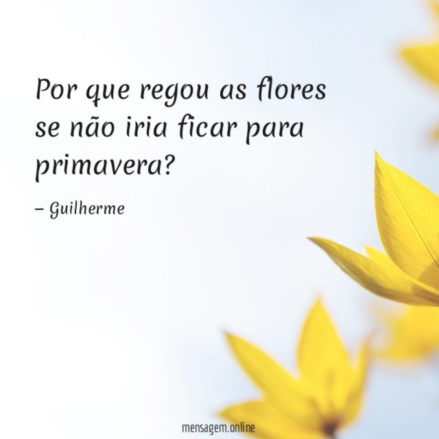 Por que regou as flores