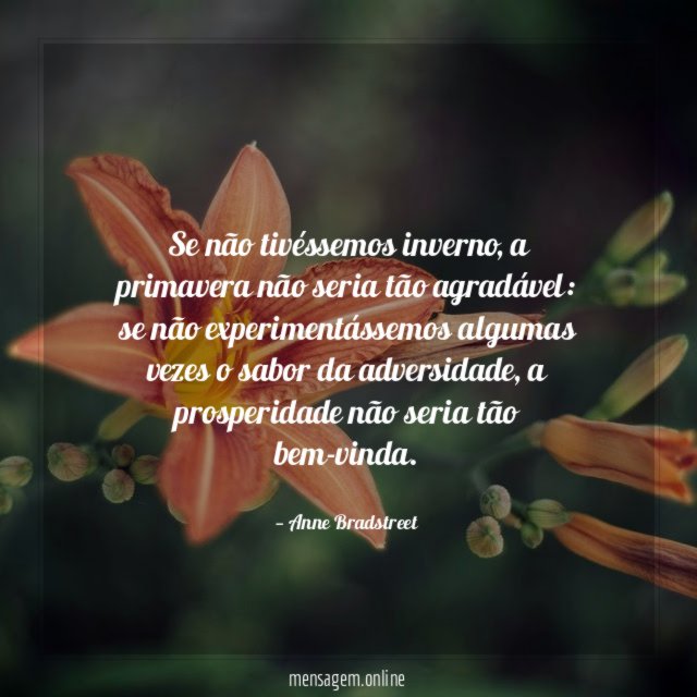 Se não tivéssemos inverno