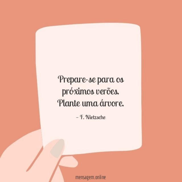 Prepare-se para os próximos verões