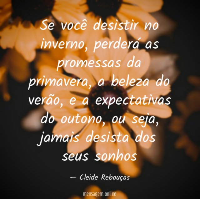 Se você desistir no inverno