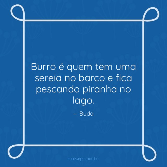 Burro é quem tem uma