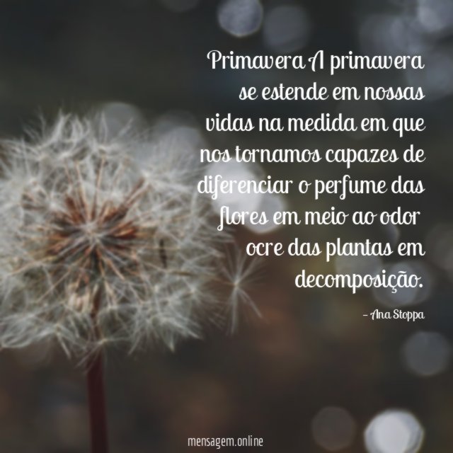 Primavera