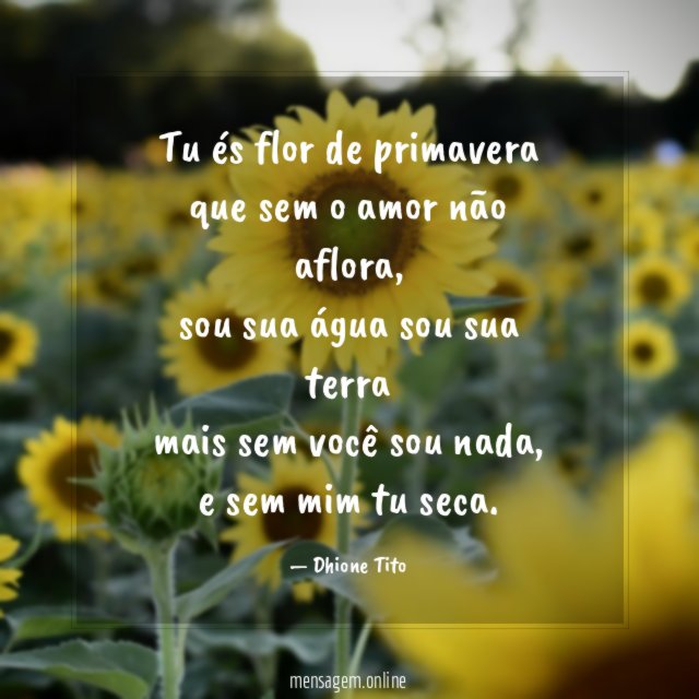 Tu és flor de primavera que sem o amor não aflora