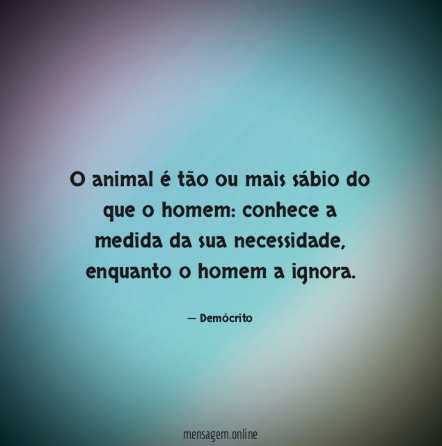 O animal é tão ou mais sábio do que o homem
