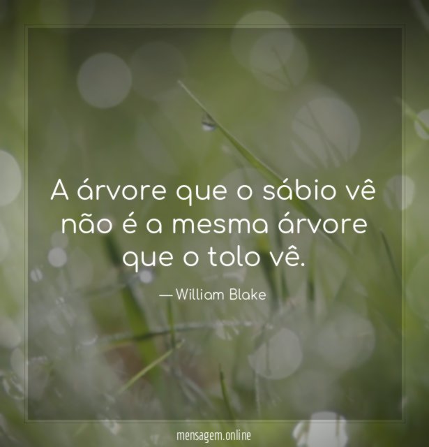 A árvore que o sábio vê não é
