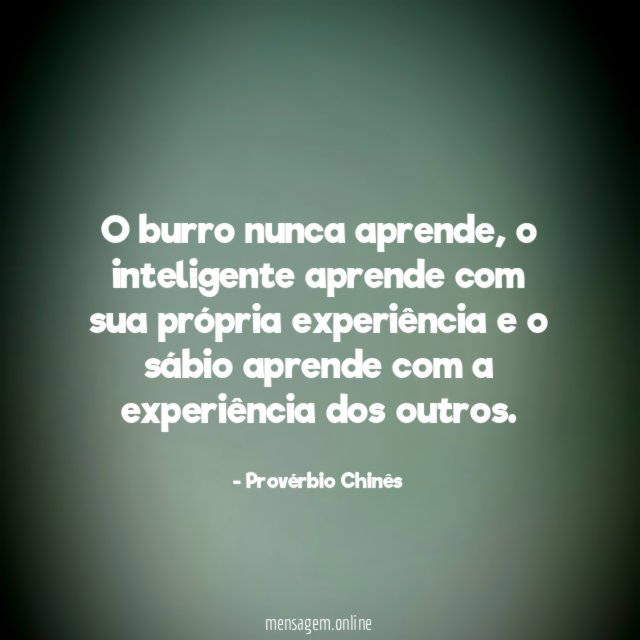 O burro nunca aprende