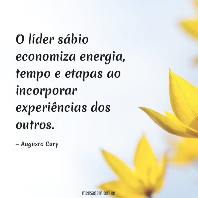 O líder sábio economiza energia