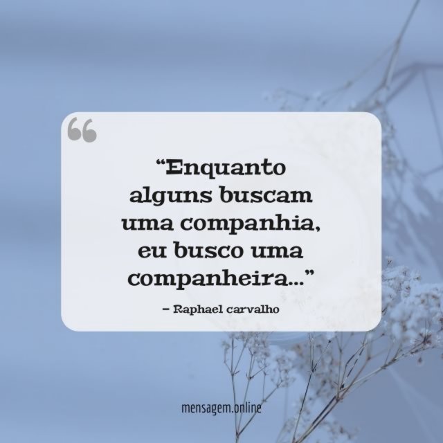 Enquanto alguns buscam uma companhia