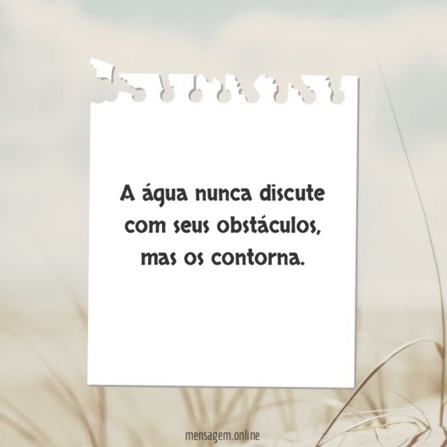 A água nunca discute com seus obstáculos