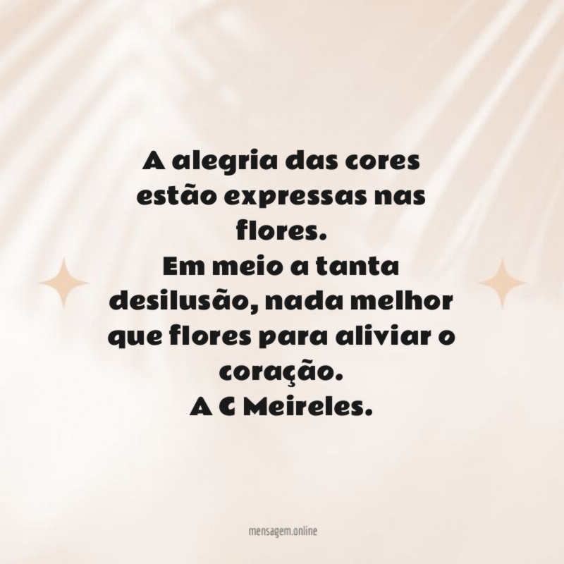 A alegria das cores estão expressas nas flores.
Em meio a tanta desilusão, nada melhor que flores para aliviar o coração.