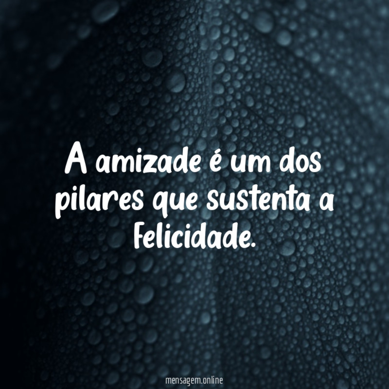 A amizade é um dos pilares que sustenta a felicidade