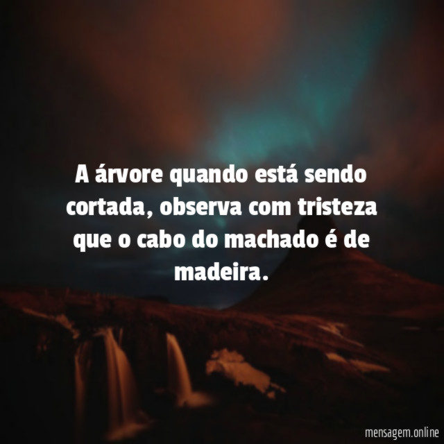 A árvore quando está sendo cortada