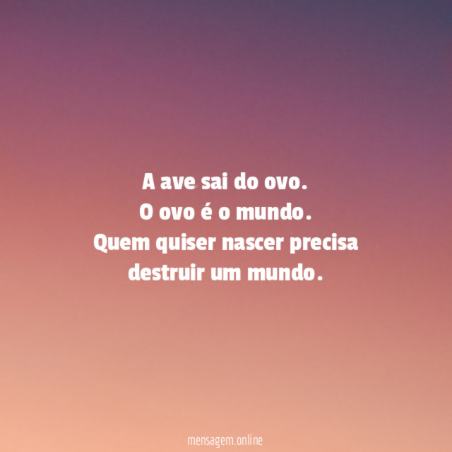 A ave sai do ovo