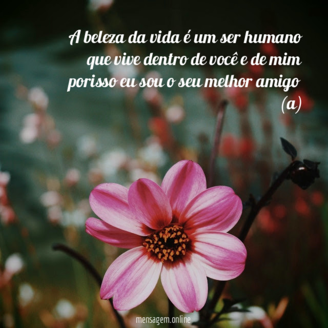 A beleza da vida é um ser humano