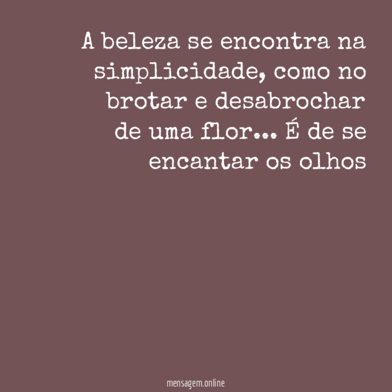 A beleza se encontra na simplicidade