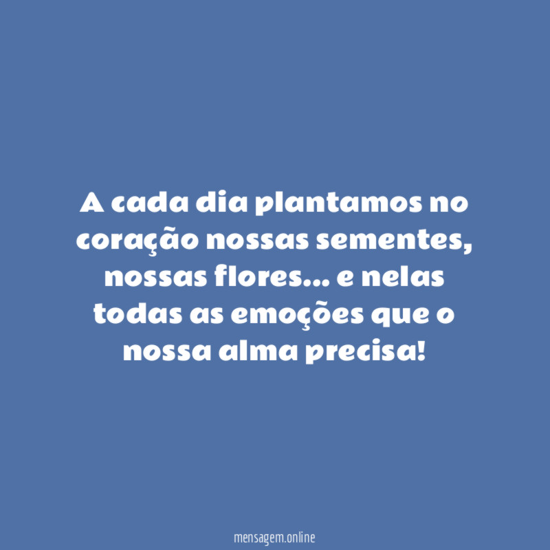 A cada dia plantamos no coração nossas sementes