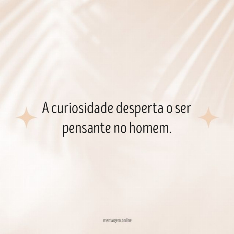 A curiosidade desperta o ser pensante no homem