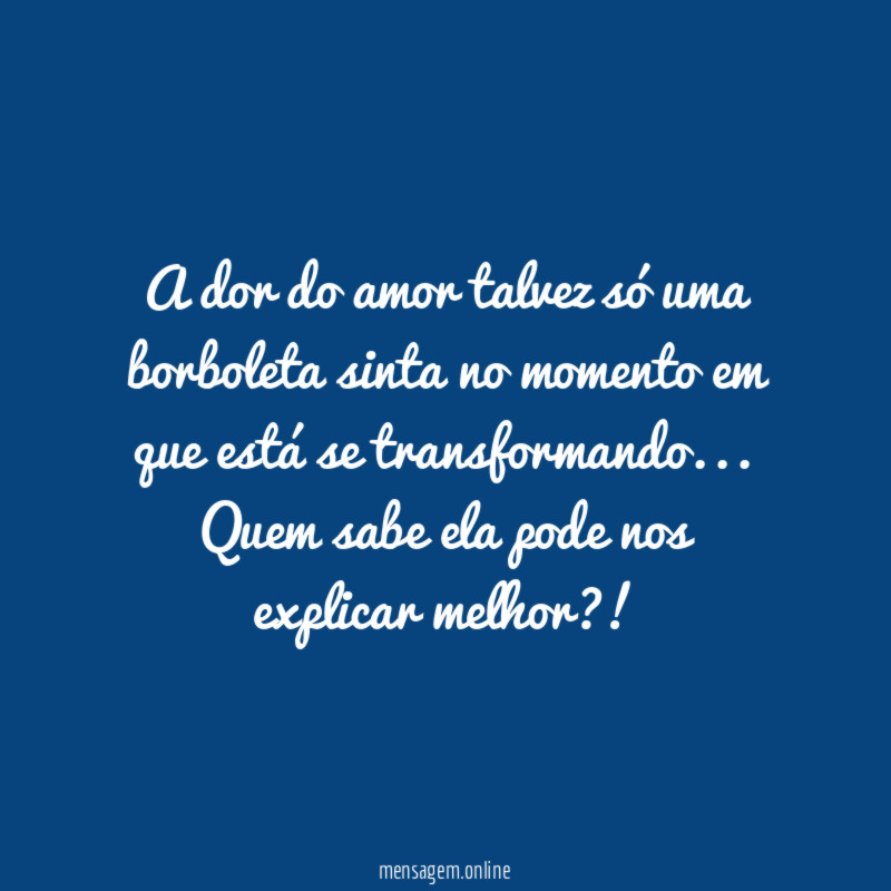 A dor do amor talvez só uma borboleta