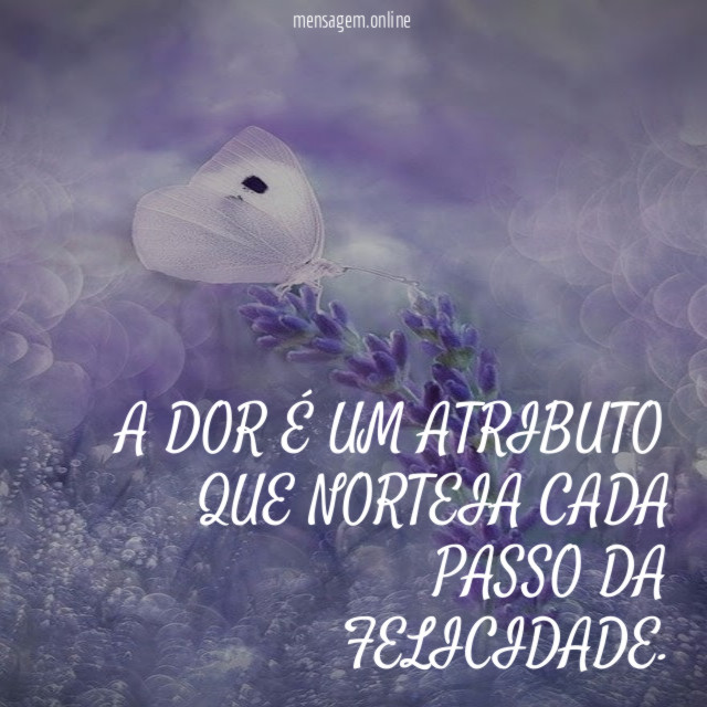 A DOR É UM ATRIBUTO QUE NORTEIA CADA PASSO DA FELICIDADE