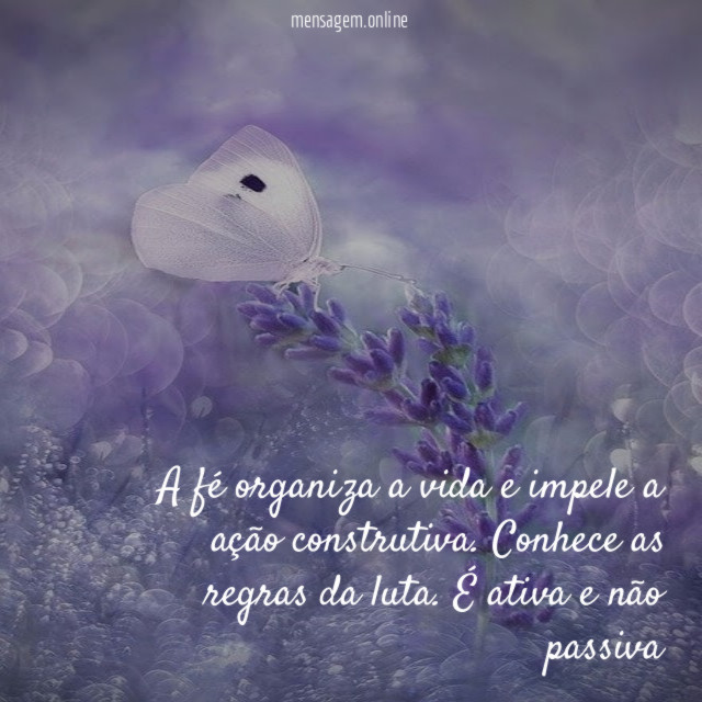 A fé organiza a vida e impele a ação construtiva