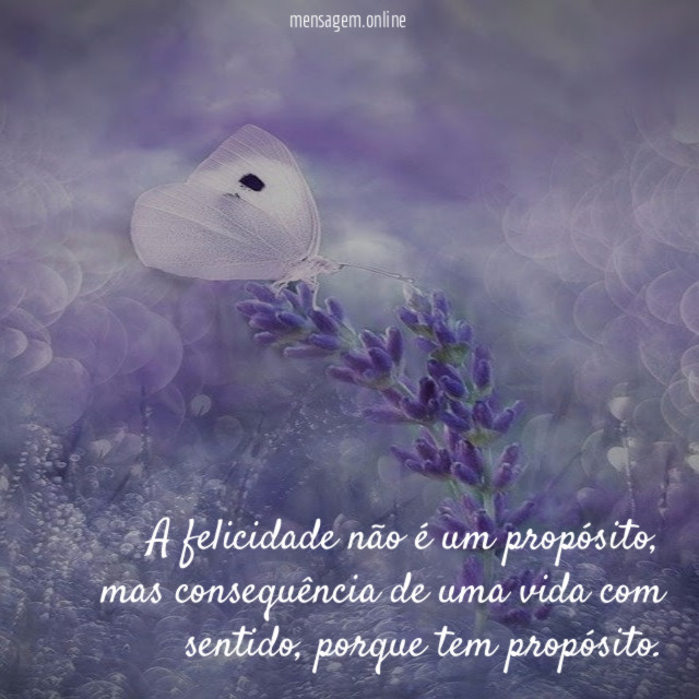A felicidade não é um propósito