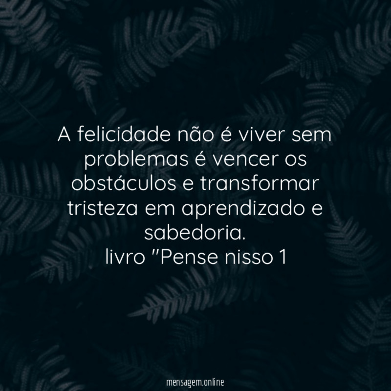 A felicidade não é viver sem problemas é vencer os obstáculos e transformar tristeza em aprendizado e sabedoria.