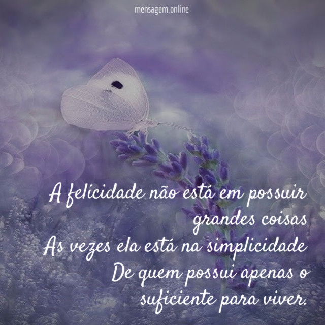 A felicidade não está em possuir grandes coisas As