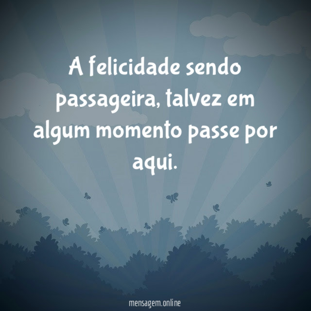 A felicidade sendo passageira