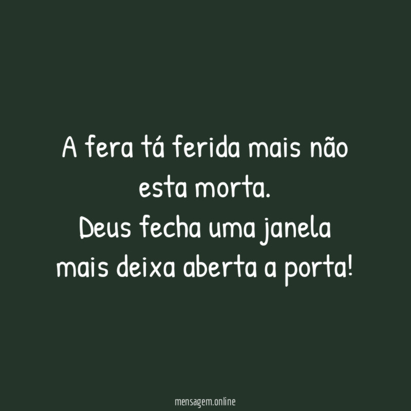 A fera tá ferida mais não esta morta