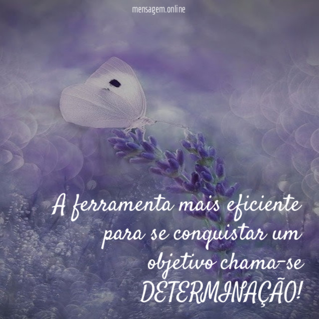 A ferramenta mais eficiente para se conquistar um objetivo chama-se DETERMINAÇÃO