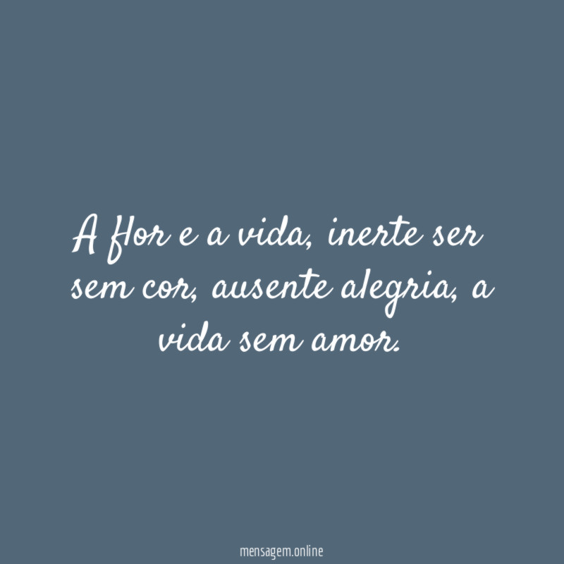A flor e a vida