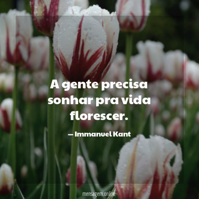 A gente precisa sonhar pra vida florescer