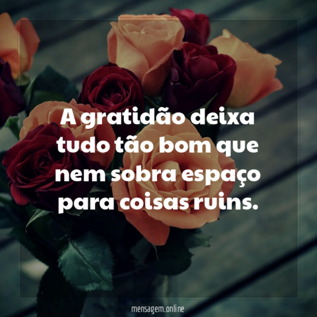 A gratidão deixa tudo tão bom que nem