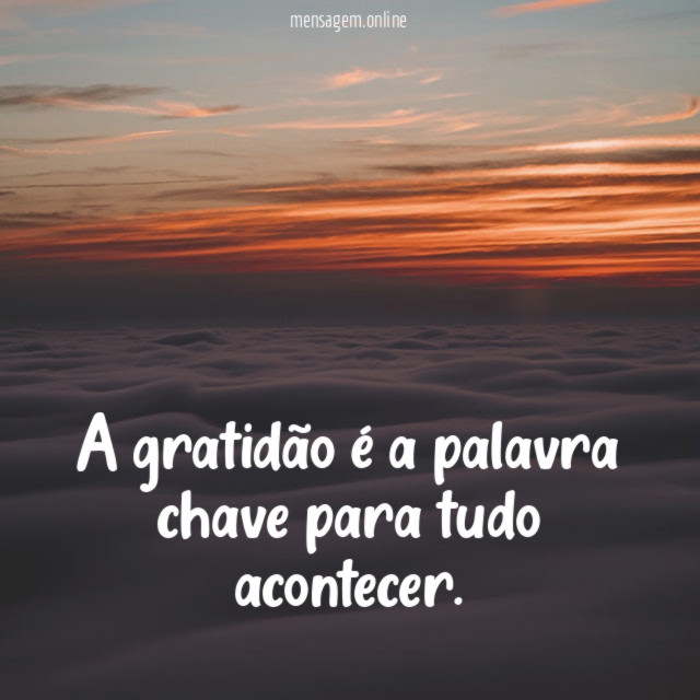 A gratidão é a palavra chave para tudo acontecer