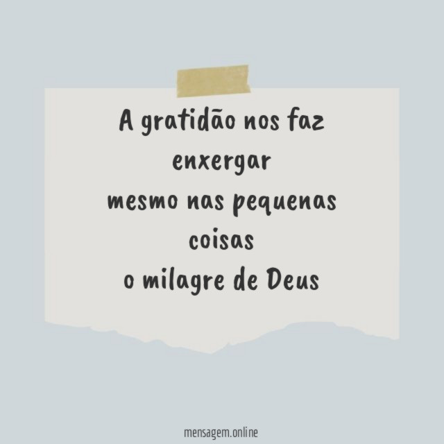 A gratidão nos faz enxergar mesmo nas pequenas coisas