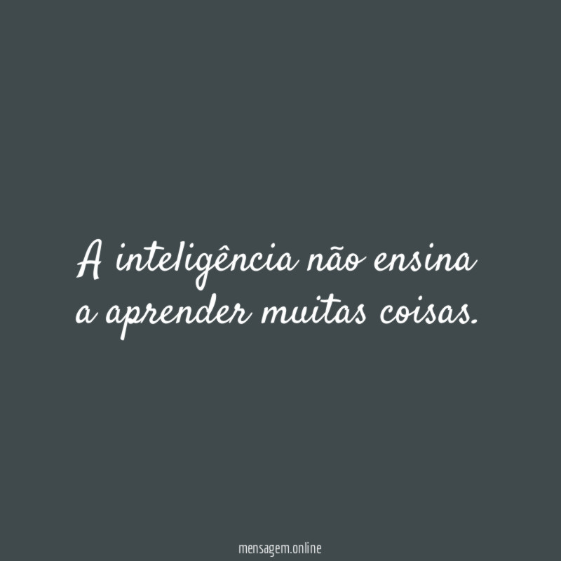 A inteligência não ensina a aprender muitas coisas