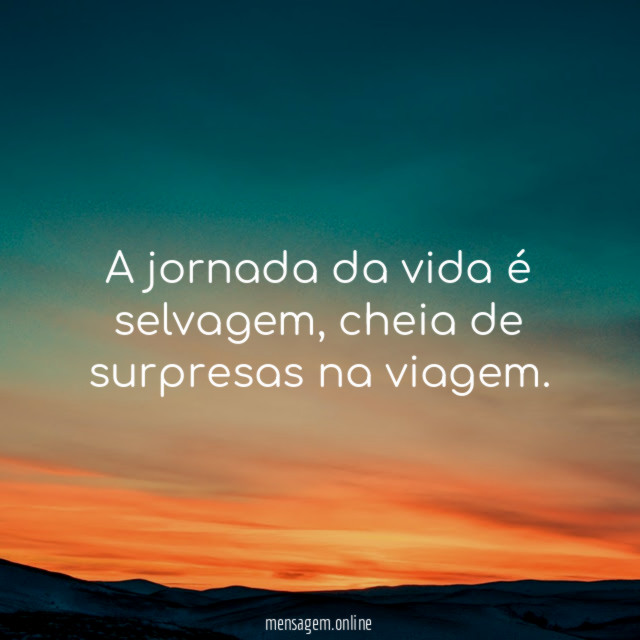 A jornada da vida é selvagem