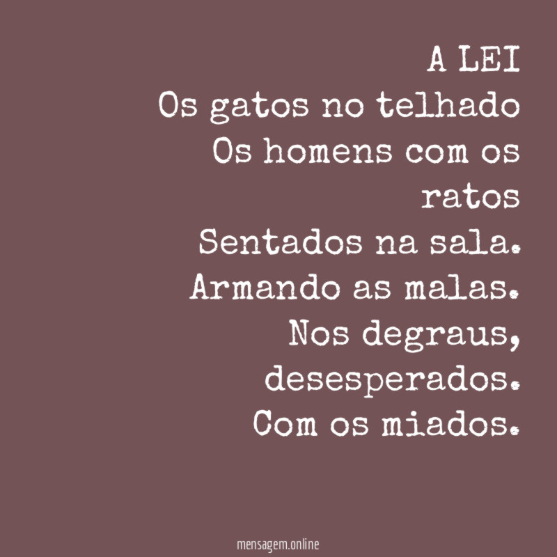 A LEI
