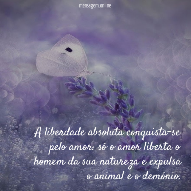 A liberdade absoluta conquista-se pelo amor