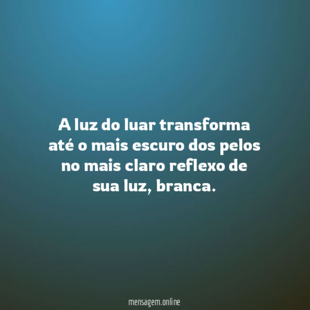 A luz do luar transforma até o mais