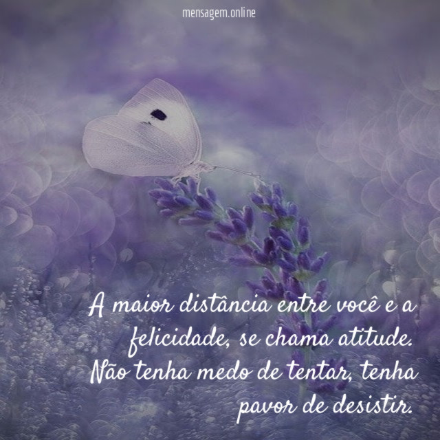 A maior distância entre você e a felicidade