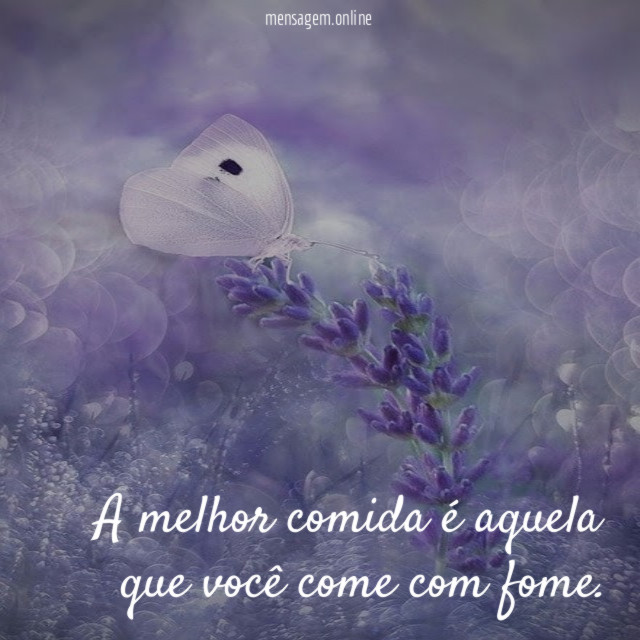 A melhor comida é aquela que você come com fome