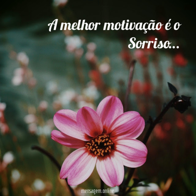 A melhor motivação é o Sorriso