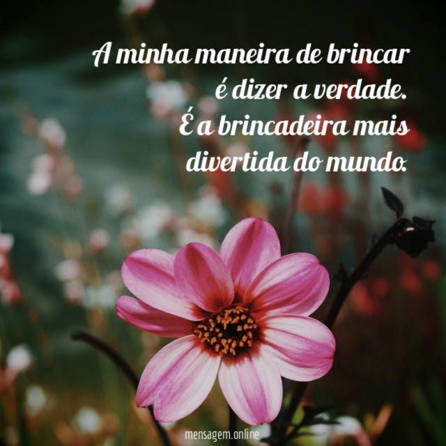 A minha maneira de brincar é dizer a verdade